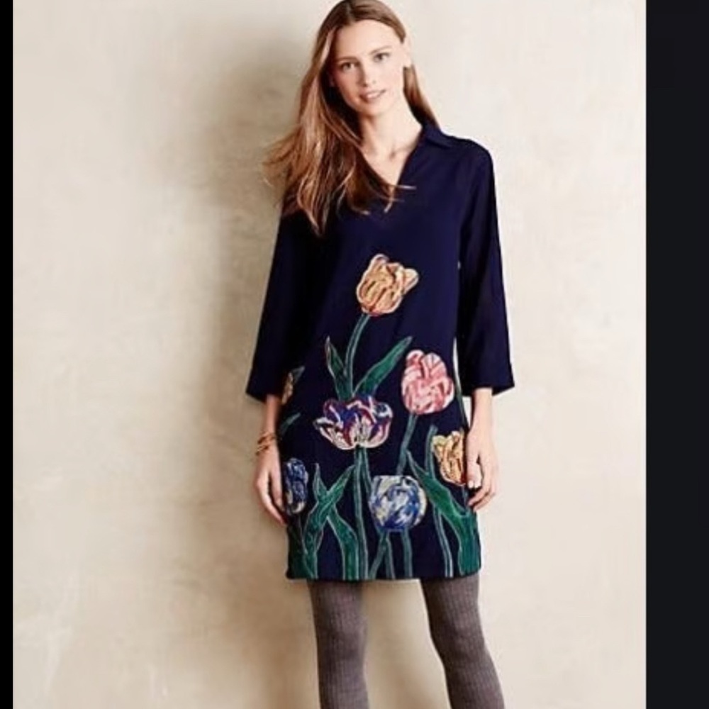 Anthropologie Pankaj & Nidhi Painted Tulip Shift Dress